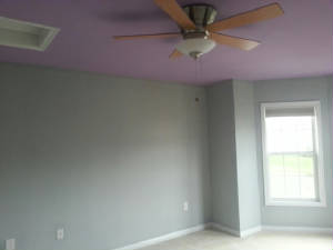 All interior painting by Hadley & Son Painting Maineville Oh 45039  
