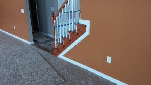 Wood staining and house painting 2014